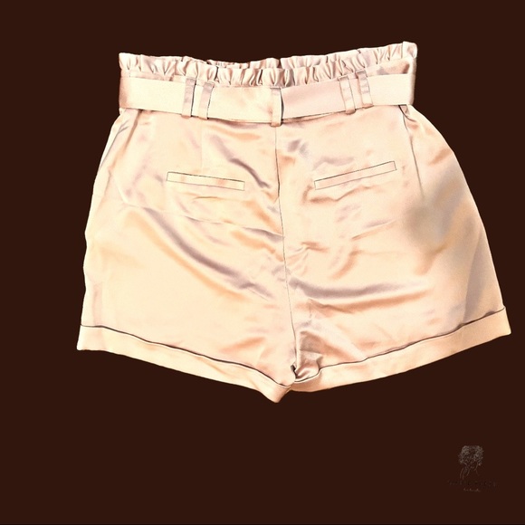 Bar II Belted Dusty Pink Satin Paper Bag Waist Shorts Size 14 - Picture 4 of 8